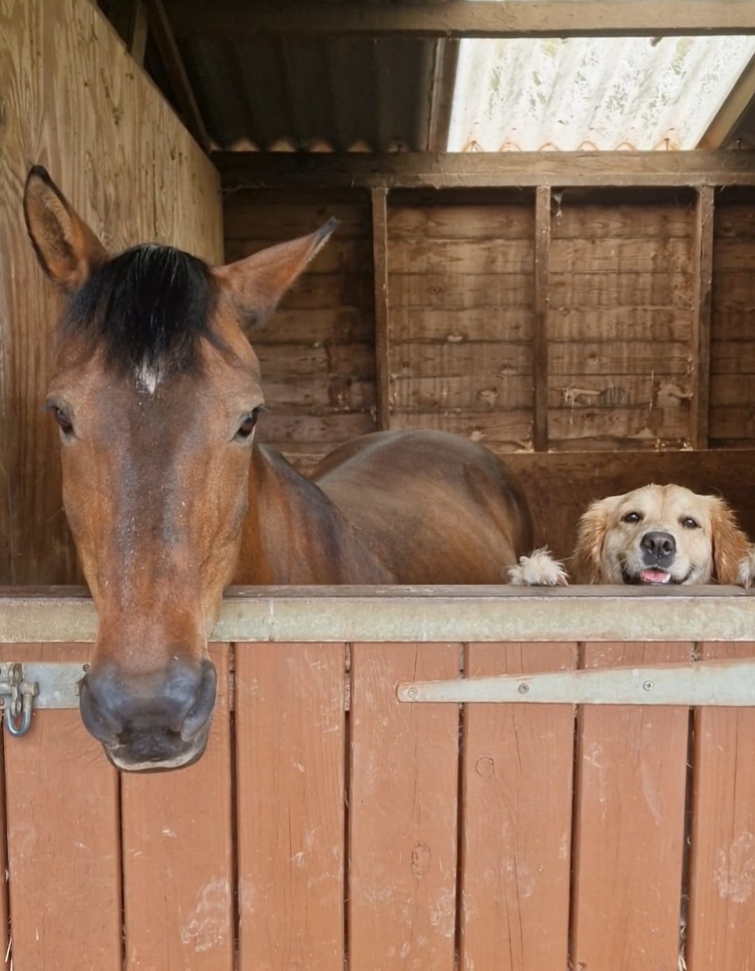 Rolo_And_Tia